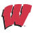 Wisconsin Badgers